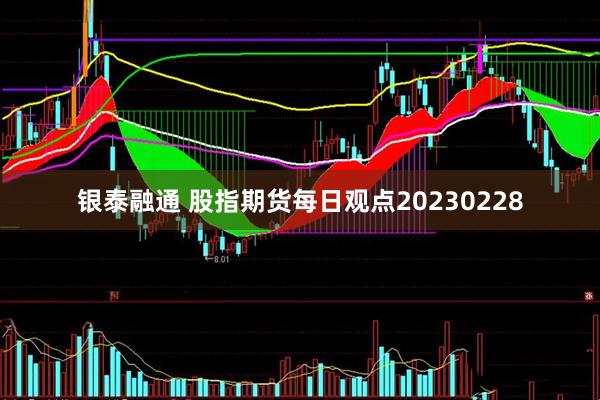 银泰融通 股指期货每日观点20230228