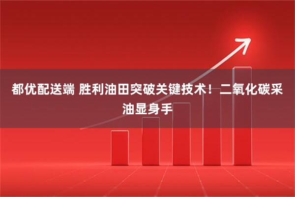 都优配送端 胜利油田突破关键技术!二氧化碳采油显身手