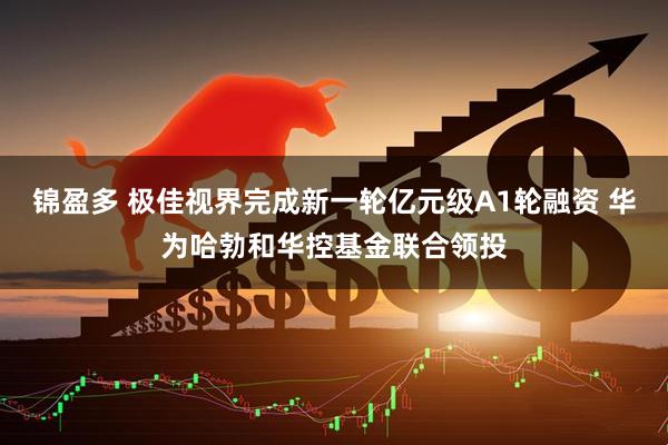 锦盈多 极佳视界完成新一轮亿元级A1轮融资 华为哈勃和华控基金联合领投