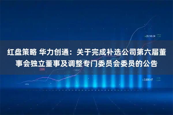 红盘策略 华力创通：关于完成补选公司第六届董事会独立董事及调整专门委员会委员的公告