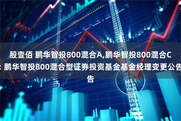 股壹佰 鹏华智投800混合A,鹏华智投800混合C: 鹏华智投800混合型证券投资基金基金经理变更公告