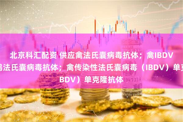 北京科汇配资 供应禽法氏囊病毒抗体；禽IBDV抗体；鸡法氏囊病毒抗体；禽传染性法氏囊病毒（IBDV）单克隆抗体