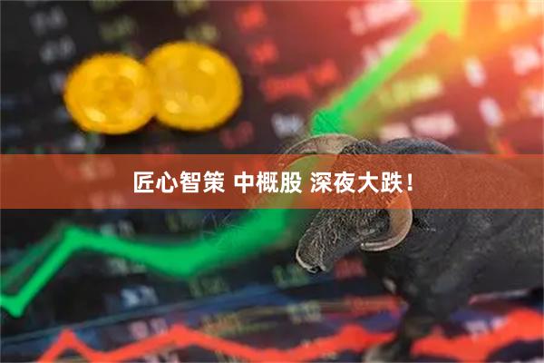 匠心智策 中概股 深夜大跌！